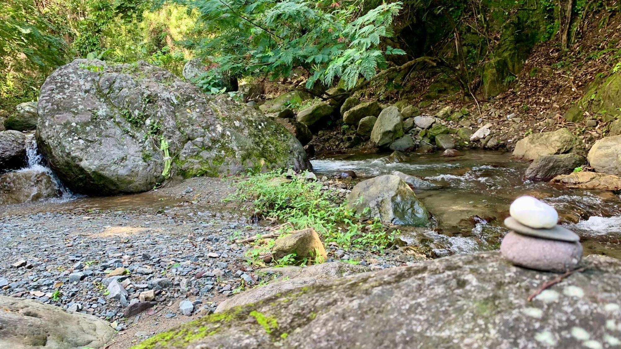 キングストン Gordon Town Kotchホステル エクステリア 写真